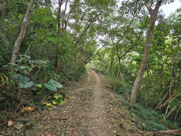 女仍山（小百岳）2752496