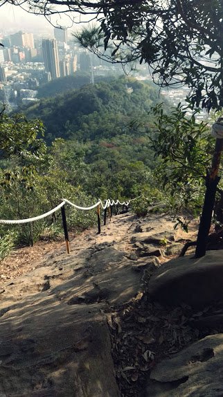 2020 1/22 金面山 853912