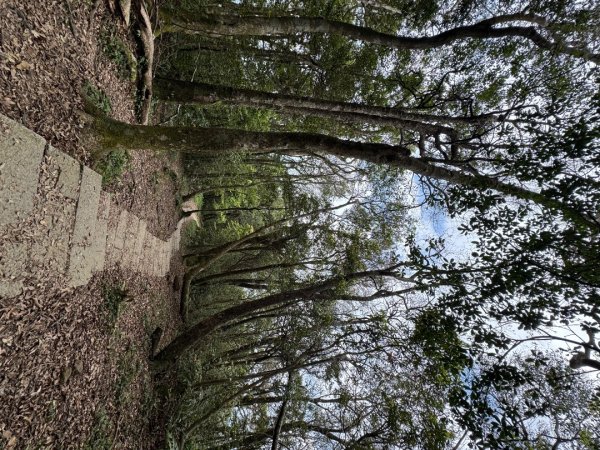 2025/04/04小百岳第022「東眼山」2753247