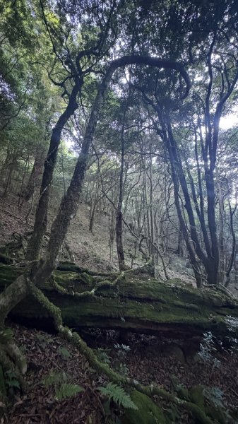 加里山東南峰2867934