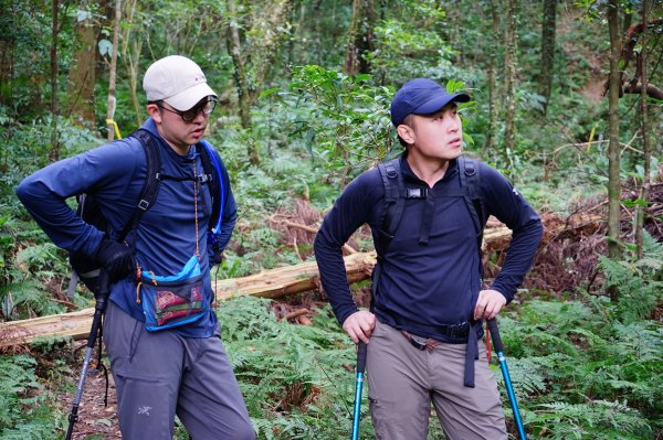 新竹關西鎮 水田林道之貴妃&那結山連走1539749