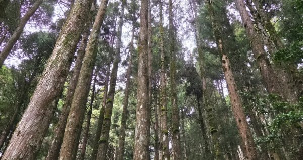 【中級山】宜蘭小百岳，三星山3131376