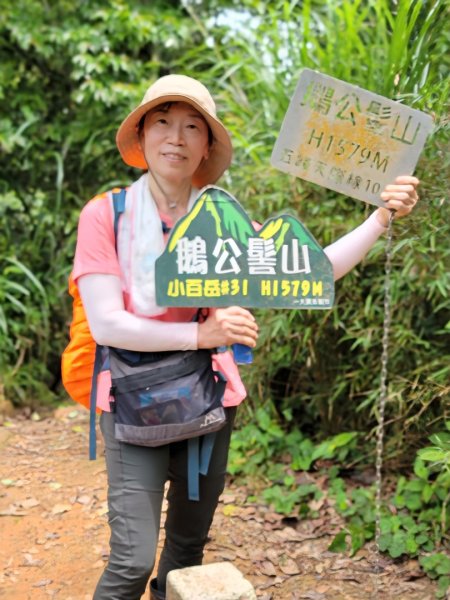 鵝公髻山採桃趣-202505302865284