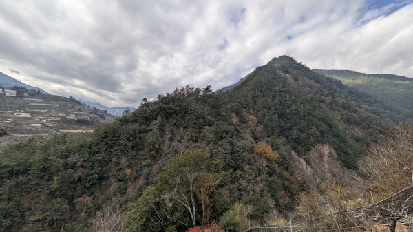 環山獵人登山步道3014393
