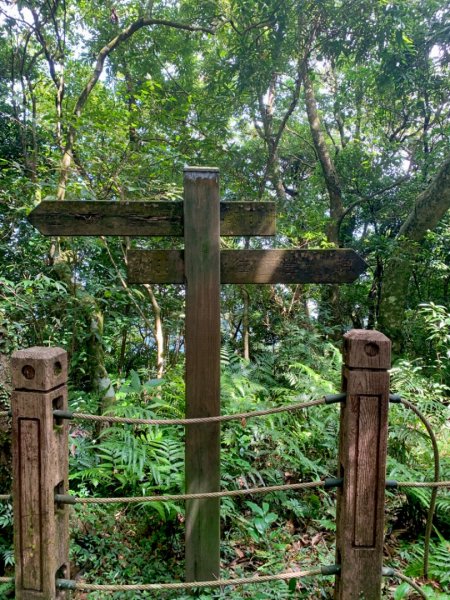 獅仔頭山/小百岳1453953