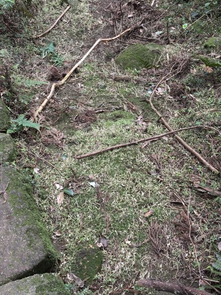 陽明山東西大縱走-東段2984521