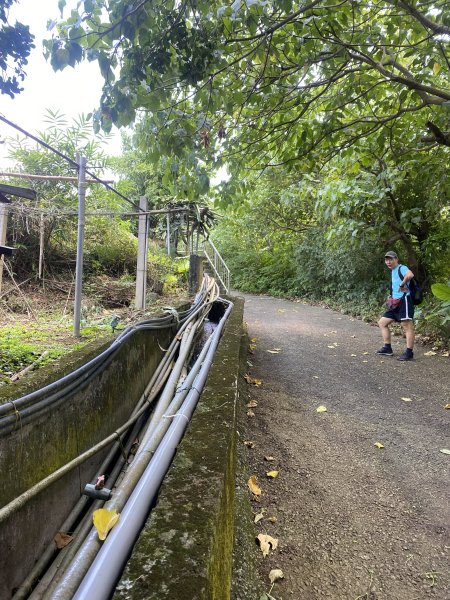 遺世古道的綠意與寧靜｜狗殷勤古道×至善園→平菁街健行路線2852155