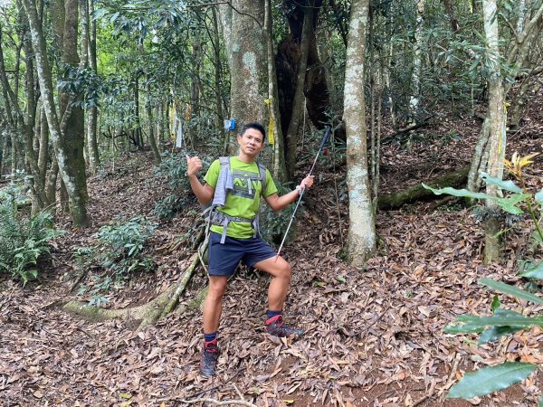 南東眼山.夢谷瀑布【好像是中級山探勘路線的荒山野嶺】2630626