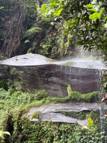 微笑山⛰️線-大棟-二格山-五分山-天上山-鳶山💎12條步道完成💙2834153