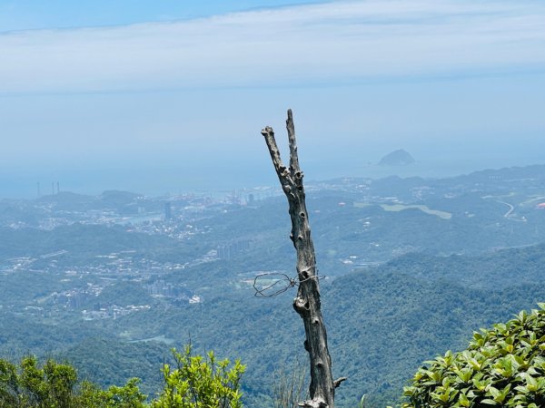 1140531姜子寮山。泰安瀑布。潮境公園2800968