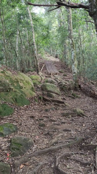 20251004 馬那邦山 - 珠湖 登山口2904840