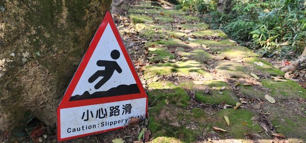 2026_01_18_探索你的後花園@土城2985011