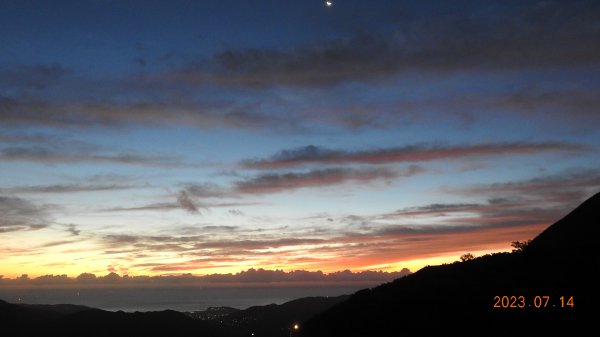 雲山水花鳥蝶 - 天龍國阿伯的日常，沒鳥也沒蝶槓龜 7/14&172217419