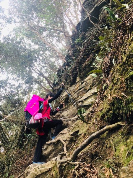 2019/03/02 北大武542003