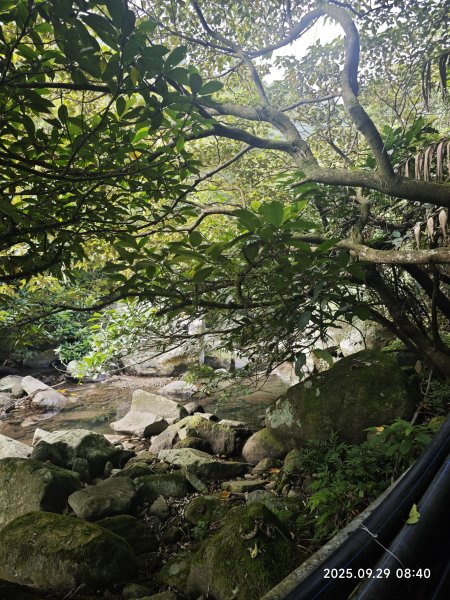 2025-0929 鹿堀坪古道2899423