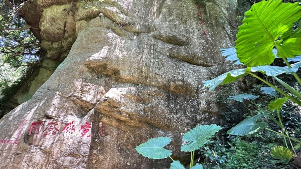 獅山古道走一遭獅頭到獅尾2564161