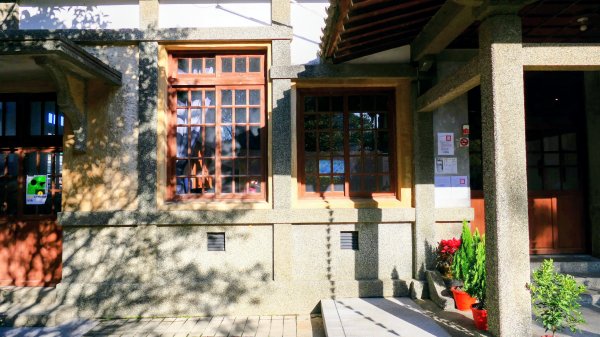 落羽松大道,龍潭大池2976228