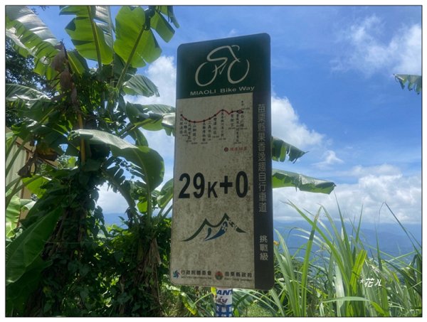 關刀山 小百岳 (薑麻園北入口)3084604