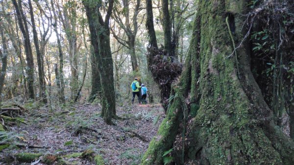 惠蓀大O聖逆走二部曲  2024年12月29日2679250