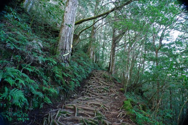 宜蘭 大同 加羅山2890273
