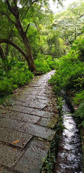 石門青山瀑布步道595556