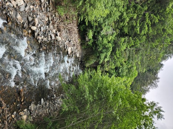 【百岳】志佳陽大山2779740