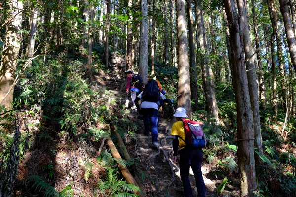 新竹尖石鄉 高島縦走1280658