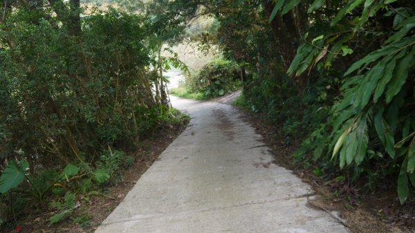 出關古道登山健行趣(步道)1579397