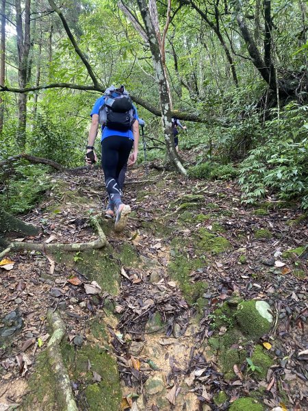 【淡蘭古道尋寶任務】淡蘭南路第四段｜𩻸魚堀溪自行車道至縣界公園2926417