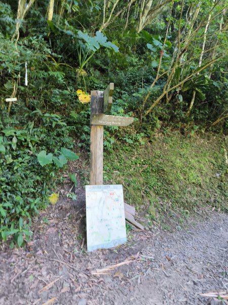 20250928微笑山線：【二格山系】銀河洞越嶺段2896179