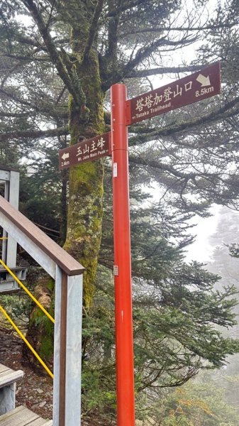 東埔-排雲-玉山西峰-玉山主峰2753145