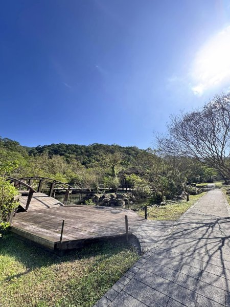 【宜蘭】草嶺古道2671444