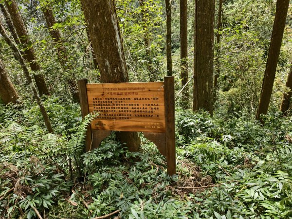[百山百鳥尋旅-05/15] 2025_0830 溪頭賞鳥步道_觀景步道2875611