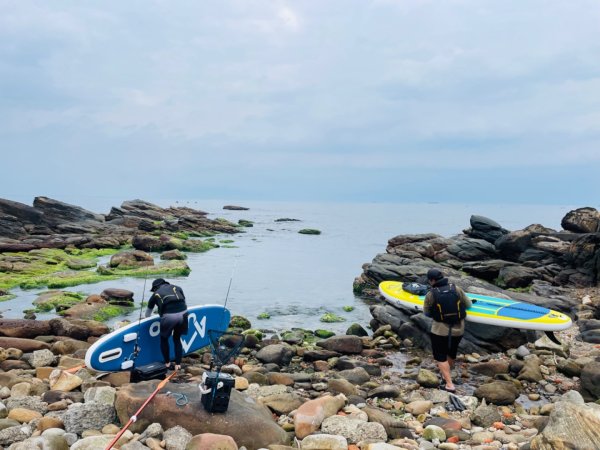 老梅綠石槽-萬里駱駝峰2759024