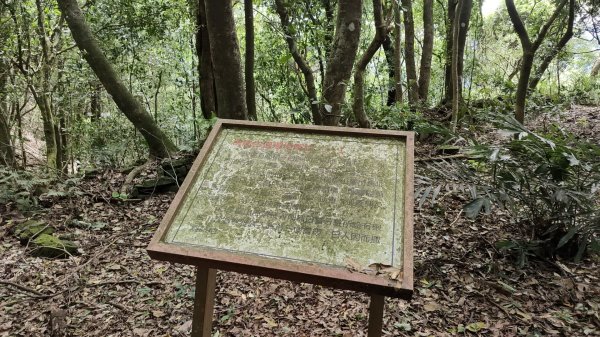 2025/6/14 橫龍山2839233