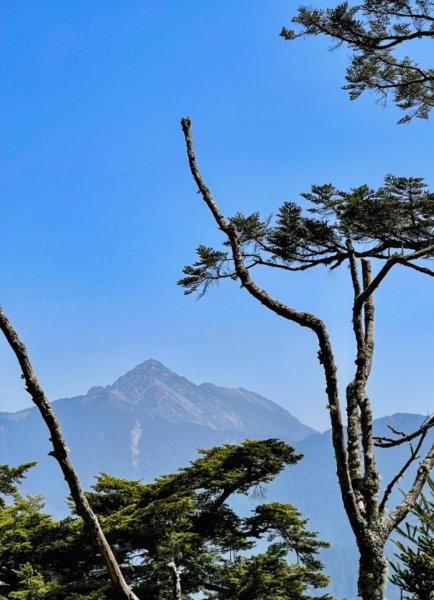 戀愛般的甘酸甜⋯ 閂山．鈴鳴山1342328