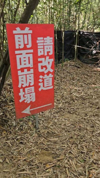 20251223芎林文林古道O走+雞寮坑山+芎林顯伯公野餐2975923