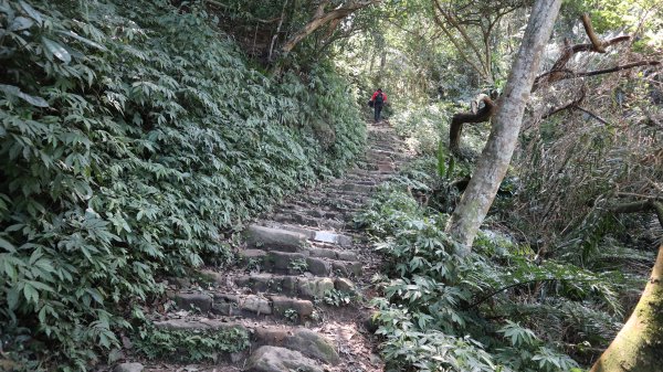 溪洲山登山健行趣(小百岳26號)2069715