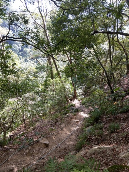 水雲三星之虎子山（虎山）1166522