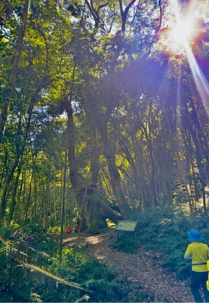 九穹神木 左訪嘉南雲峰 右到好望角看風景上石壁山(小百岳#55)2944853
