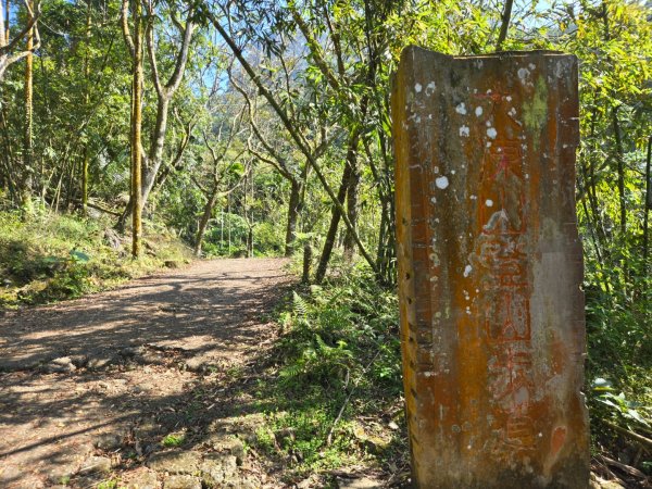 九龍山連走大凍山2955730