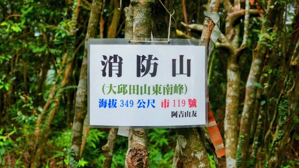 大邱田石門洞2856215