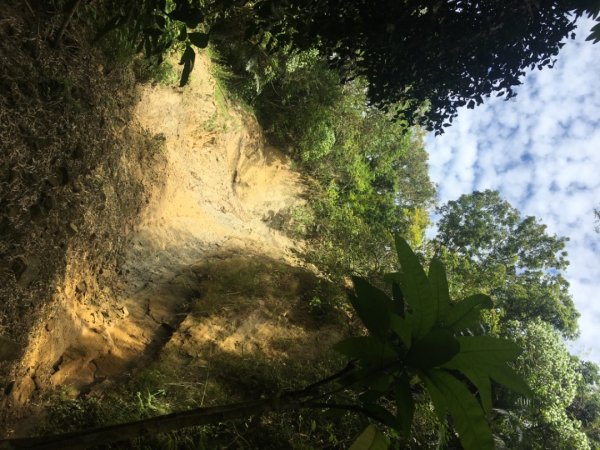 中興林場後山（鑰匙🔑認領2700428