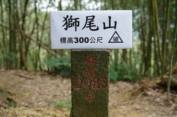 新竹 峨嵋 獅頭山、獅尾山、六寮山、猿山2450053