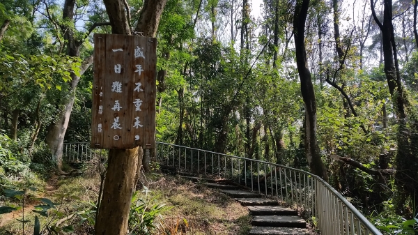 彰化縣田中鎮-田中森林登山步道90059