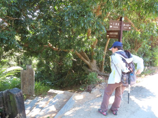 彰化桃源里森林步道+龍鳳谷森林步道2696092