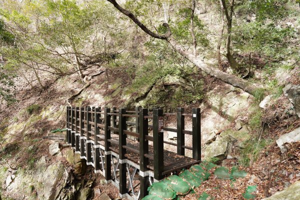 台中 和平 東卯山2674528