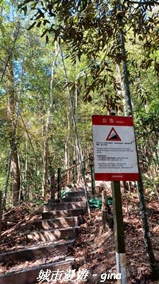 【南投魚池】後尖山步道2968304