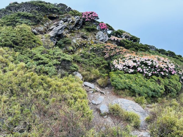合歡東峰2846022