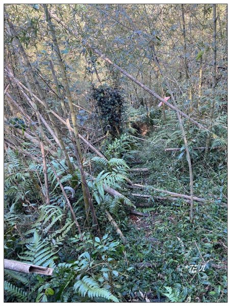 頭社山主峰及基點峰(社頭山)2681600